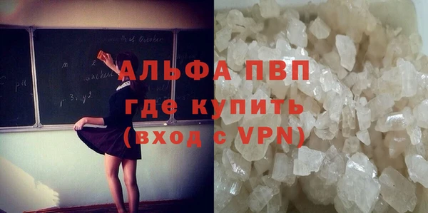 стаф Елизово