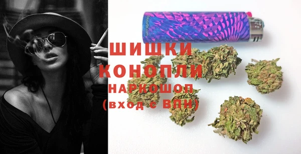 скорость Ельня