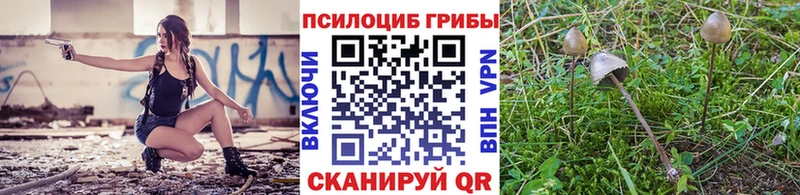 Галлюциногенные грибы Cubensis Зеленокумск
