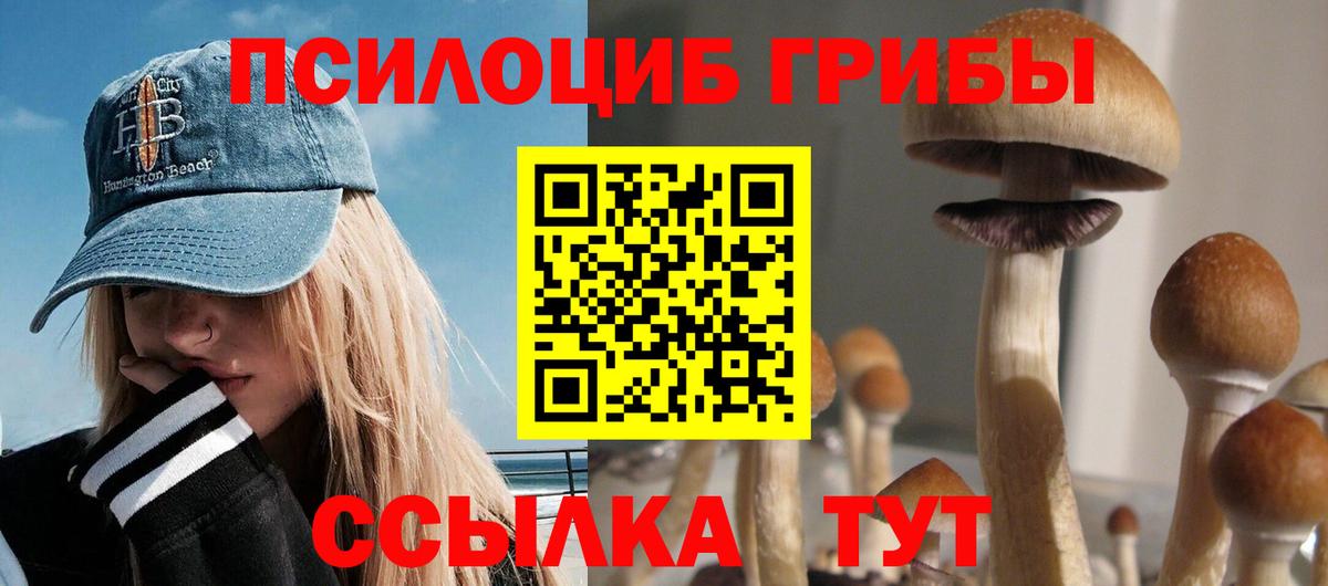 Галлюциногенные грибы Cubensis Зеленокумск